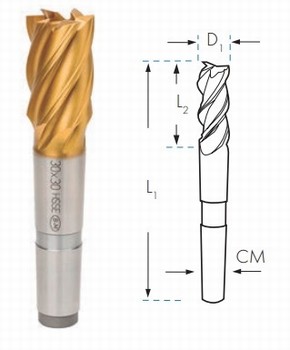 Fraise HSS Cobalt 8% TIN cne morse - Usinage Inox, Alu  Srie courte