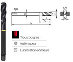 Taraud hlicodale HSSE trait vapeur DIN376-6H