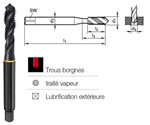 Taraud hlicodale HSSE trait vapeur DIN371- 6H