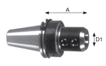 Mandrin SK DIN69871 pour fraises Weldon avec bague d'arrosage pour IKZ